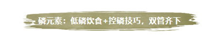 8.png